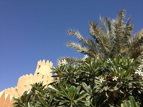 Arabian Peninsula 2013